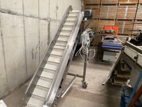 New stainless steel incline conveyor Pic 01